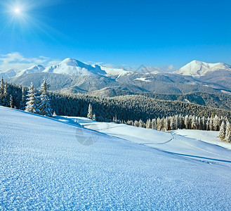 山边有雪和覆盖的山林喀尔巴阡乌克兰图片