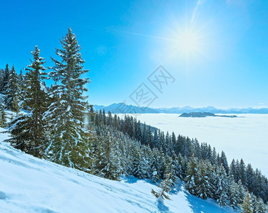 清晨冬季山区景观下谷奥地利霍科尼希区有云和阳光图片