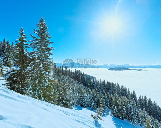 清晨冬季山区景观下谷奥地利霍科尼希区有云和阳光图片