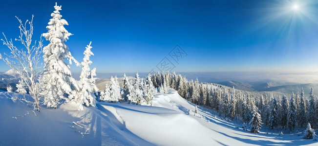 冬季平静的山雪阳光风景喀尔巴阡山乌克兰背景图片