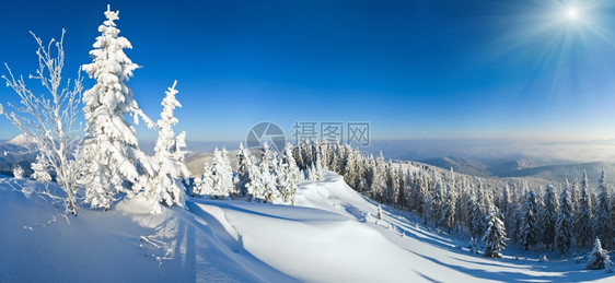 冬季平静的山雪阳光风景喀尔巴阡山乌克兰图片