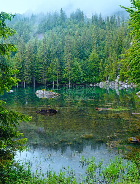 弗朗茨阿尔卑斯山的小型林湖夏季早晨图片