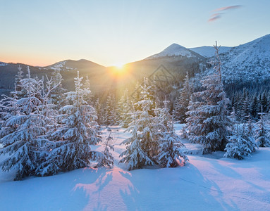 太阳和冬山风的最初一线阳光山坡上有雪卷毛树图片