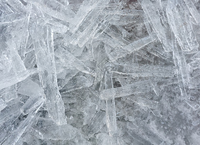 许多长的冰封片冬季背景图片