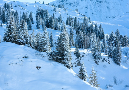 冬山坡上有雪花图片