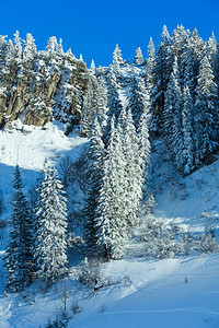 岩石坡上的雪花树冬季风景图片