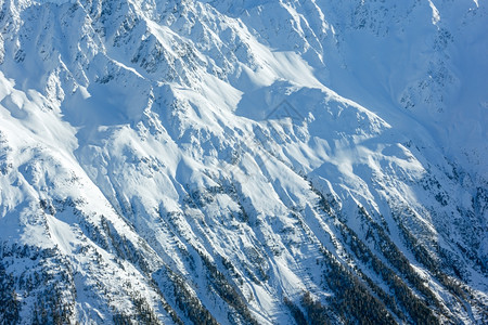 在有森林的雪坡上奥地利提洛尔从木屋滑雪升起的降机上进行风采奥地利提洛尔图片