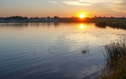 阳光反射的日落湖夏季风景图片