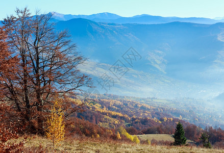 在山坡上树多彩的秋色山岳风景图片