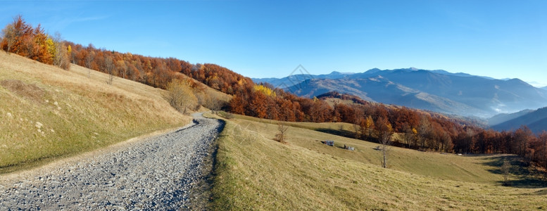 秋山和坡上丰富多彩的森林农村公路图片