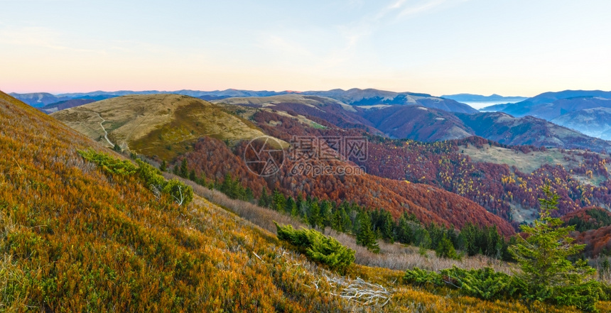 秋天清晨的山地风景充满了多彩的斜坡和雾图片