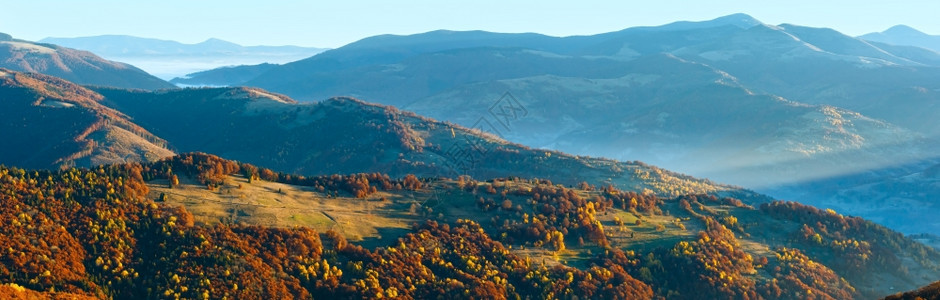 太阳光束和秋雾清晨的山峰全景坡上有多彩的树图片
