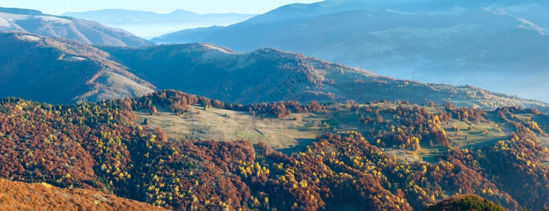 太阳光束和秋雾清晨的山峰全景坡上有多彩的树图片