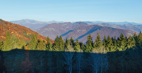 秋色的山岳风景坡上有多彩的树木前面有森林图片