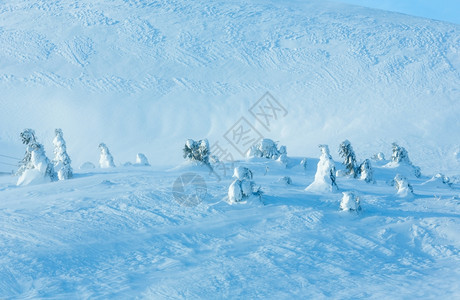 冬晨山喀尔巴阡上的冰雪卷木图片