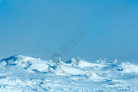 冬晨山坡上冰雪图片