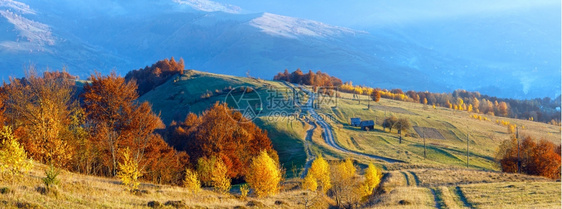 秋季山坡上道路和多彩的树木图片