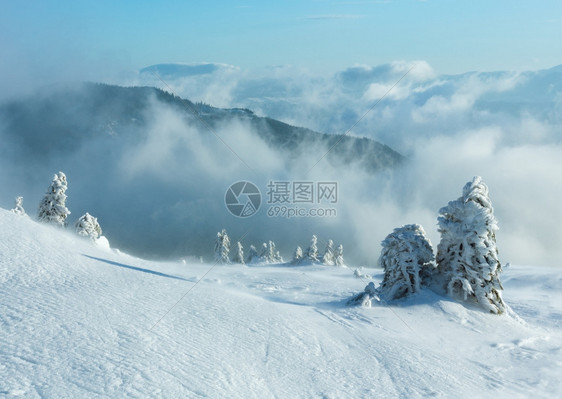 寒冬晨山上的冰雪壁树在多云的天气下喀尔巴阡山图片