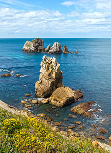 ArniaBeach西班牙大洋海岸风景前面有黄色花朵图片