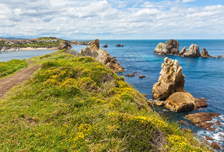 ArniaBeach西班牙大洋海岸风景前面有黄色花朵图片