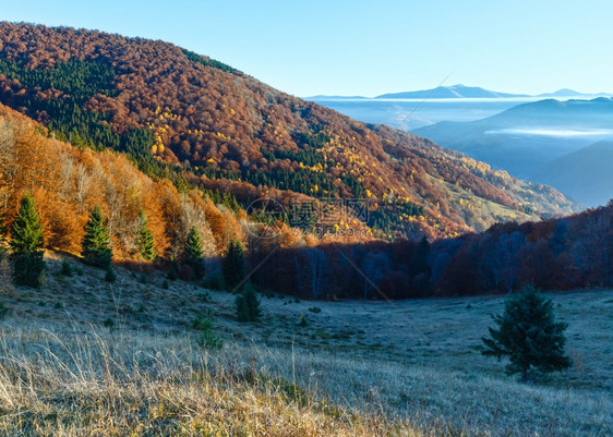 秋天的山坡和顶之间的云层上有着丰富多彩的森林图片