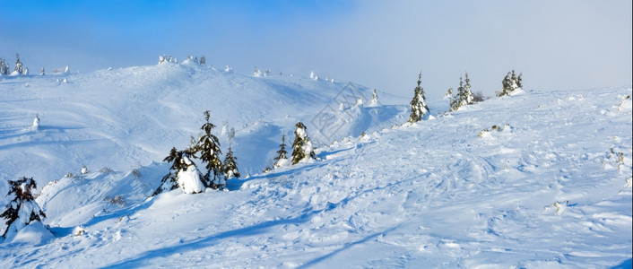 寒冬清晨山上的白雪树在多云的天气下全景图片