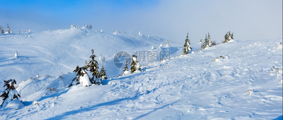 寒冬清晨山上的白雪树在多云的天气下全景图片