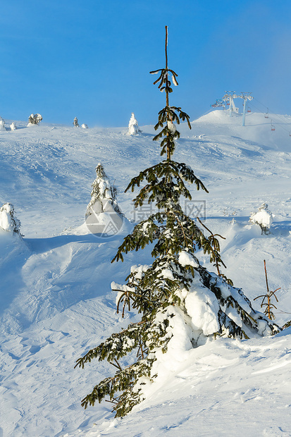 寒冬清晨山上的雪树和滑电梯图片