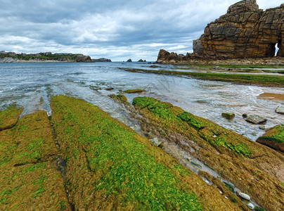 Portio海滩皮耶拉戈斯坎塔布里亚低潮造成的赤裸岩石详情图片