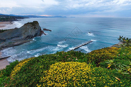 春季夕阳海边岩石景观前面有小沙滩和黄色花朵阿尼亚海滩西班牙大洋图片