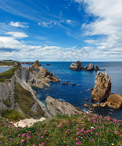 ArniaBeach西班牙大洋海岸风景前面有粉红色花朵图片