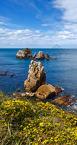 ArniaBeach西班牙大洋海岸风景前面有黄色花朵图片