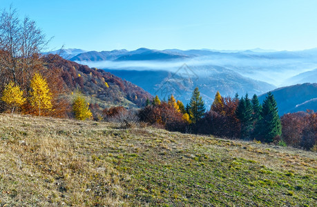 秋天的山坡和顶之间的云层上有着丰富多彩的森林图片