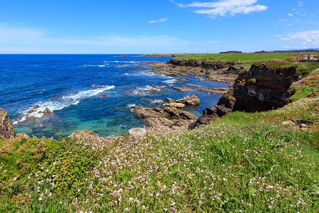 夏季开花的大西洋海岸风景有白花西班牙加利亚LosCastros海滩附近图片
