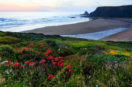 粉色日落海洋风景和夏季Odeceixe海滩葡萄牙阿尔热苏加夫图片