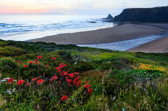 粉色日落海洋风景和夏季Odeceixe海滩葡萄牙阿尔热苏加夫图片