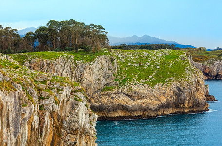 保时捷卡曼背景
