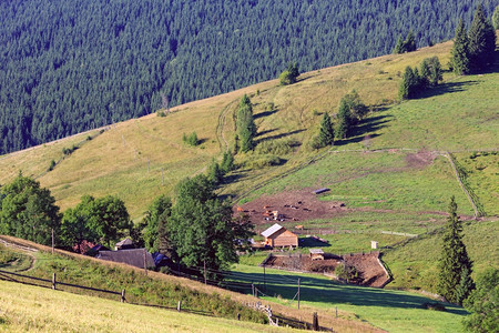 山区村坡上森林的夏季景观喀尔巴阡山乌克兰最高霍夫纳区伊万诺弗兰基夫斯克地区图片