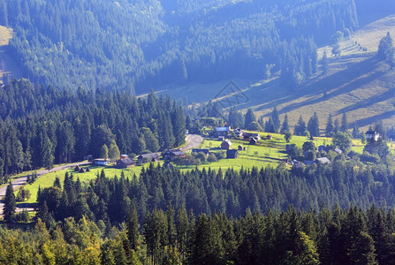 山区村坡上森林的夏季景观喀尔巴阡山乌克兰最高霍夫纳区伊万诺弗兰基夫斯克地区图片