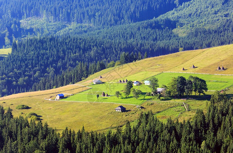 山区村坡上森林的夏季景观喀尔巴阡山乌克兰最高霍夫纳区伊万诺弗兰基夫斯克地区图片