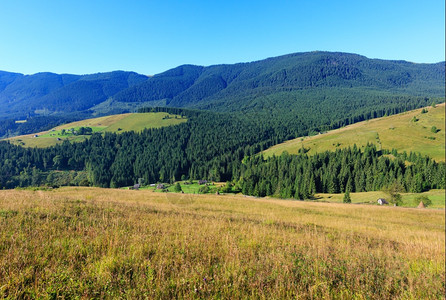 山区村坡上森林的夏季景观喀尔巴阡山乌克兰最高霍夫纳区伊万诺弗兰基夫斯克地区图片