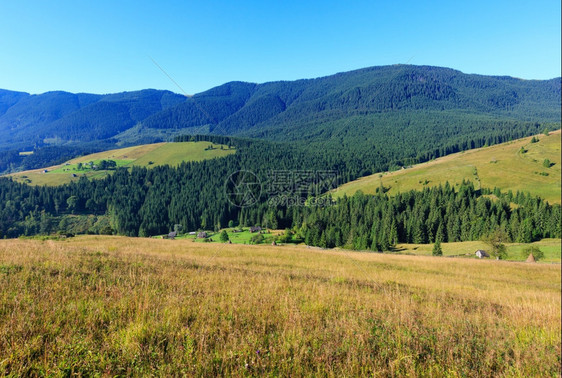 山区村坡上森林的夏季景观喀尔巴阡山乌克兰最高霍夫纳区伊万诺弗兰基夫斯克地区图片