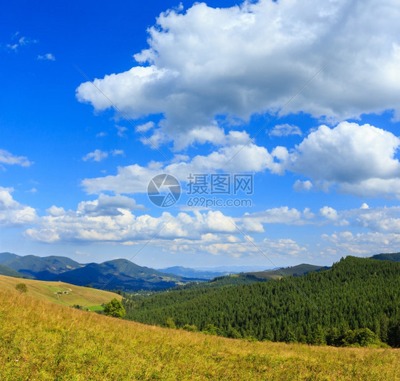 美丽的蓝天夏季喀尔巴阡山乌克兰最高霍夫纳区伊万诺弗兰基夫斯克地区上有白积云图片