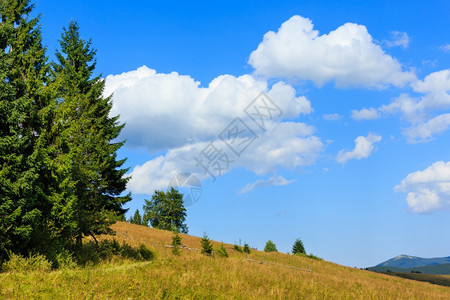 美丽的蓝天夏季喀尔巴阡山乌克兰最高霍夫纳区伊万诺弗兰基夫斯克地区上有白积云图片