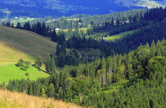 山区村坡上森林的夏季景观喀尔巴阡山乌克兰最高霍夫纳区伊万诺弗兰基夫斯克地区图片