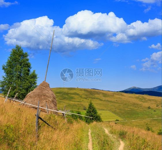 美丽的夏季喀尔巴阡山区景色乌克兰最高霍夫纳区伊万诺弗兰基夫斯克地区图片