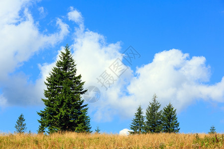 蓝色云白素材美丽的蓝色天空白的积云山丘上的夏季背景