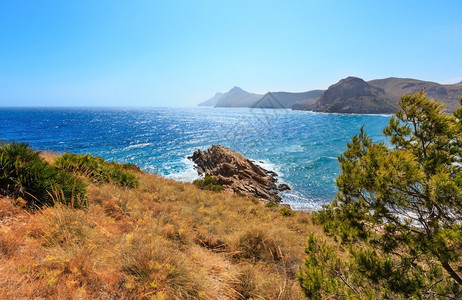 地中海港夏季岸线前面有松树波特曼湾科斯塔布兰卡西班牙图片