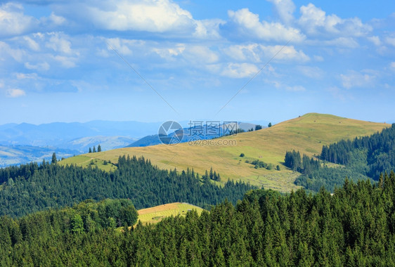 山坡上有森林的夏季山地景观喀尔巴阡山乌克兰最高霍夫纳区伊万诺弗兰基夫斯克地区图片