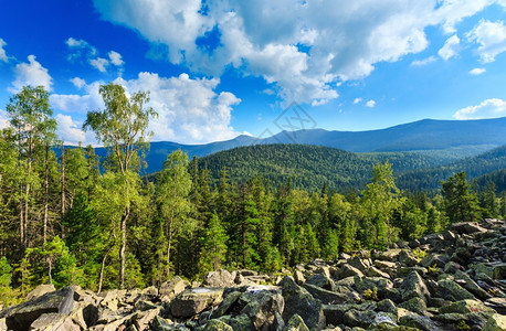 喀尔巴阡山乌克兰夏季风景有天空和积云森林滑石图片